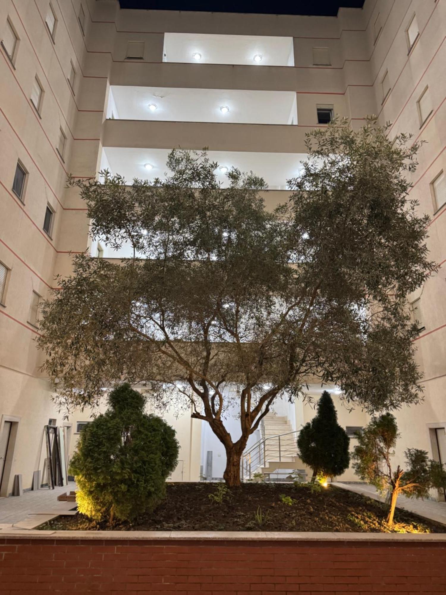 Relax Apartments Golem Golem  Dış mekan fotoğraf